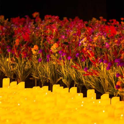 Candlelight I migliori successi di Bridgerton