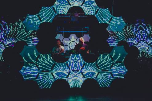 Carbon Based Lifeforms