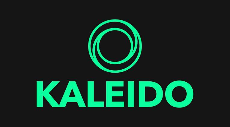 Kaleido 2024