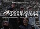 Salmonella Dub