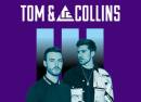 Tom & Collins
