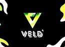 Veld Music Festival