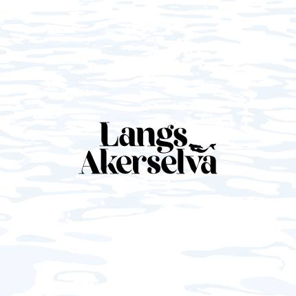 Langs Akerselva Festivalen