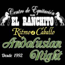 Andalusian Night