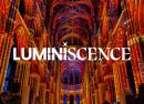 LUMINISCENCE Tauche ein in die Geheimnisse des St.-Paulus-Dom
