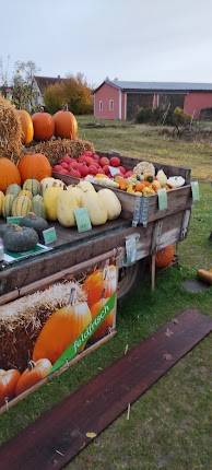 Gustav-Weißkopf-Volksschule