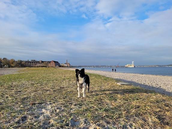 Südstrand Eckernförde