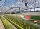 Munich Olympic Stadium