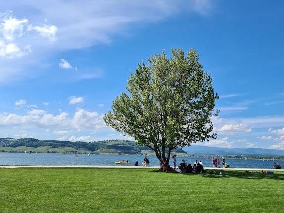 Pantschau am See Murten