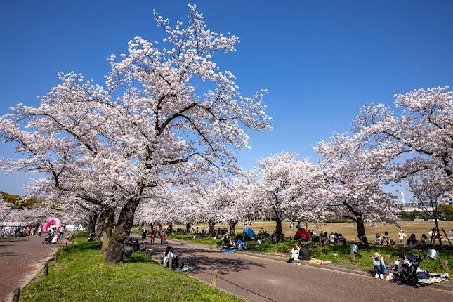 Expo Commemoration Park - Momijigawa Shibafu Hiroba
