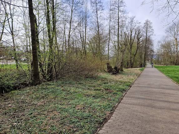 Zirkuszelt auf der Seewiese