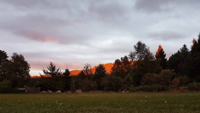 Festplatz Moosenmättle