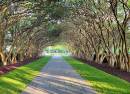 The Dallas Arboretum and Botanical Garden
