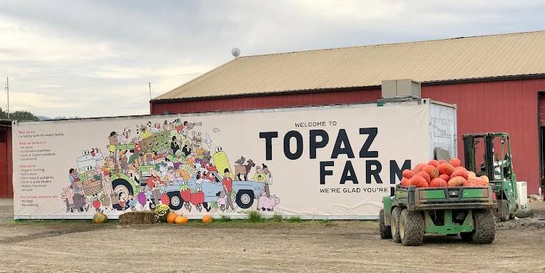 Topaz Farm