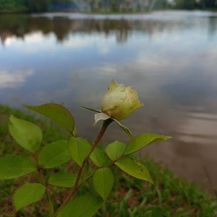Parque de Eventos e Praça de Esportes