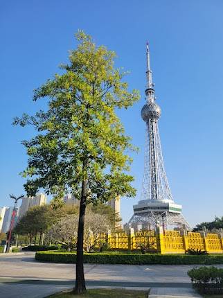 Foshan Lingnan Mingzhu Gymnasium