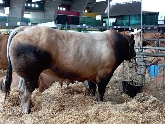 Pabellon de Exposiciones de La Magdalena