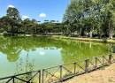 Laghetto di Villa Ada