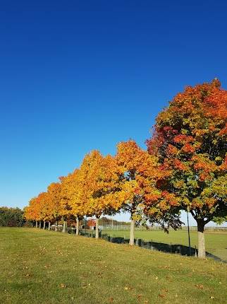 Hohenzollernhalle Heilsbronn