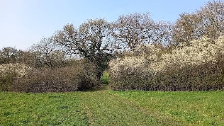 Copthall Playing Fields